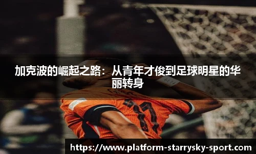 星空体育官网入口