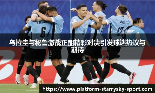 星空体育官网下载